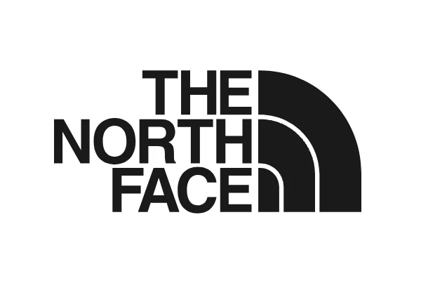 the north face logo