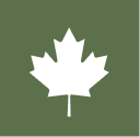 Maple Leaf Icon